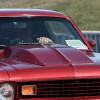DSC_2913-1280-s-s