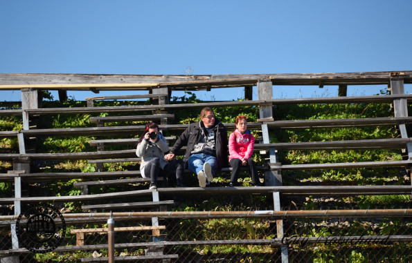 DSC_2973-1280-s-s
