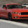 DSC_4228-1280-s-s
