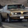 DSC_4214-1280-s-s