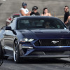 DSC_3904-1280-s-s