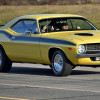 DSC_5176-1280-s-s